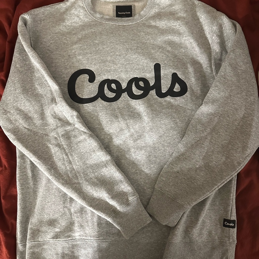 New Barney Cools Crewneck